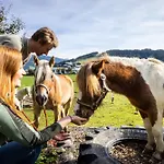 Laubichlhof Daire Flachau