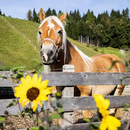 Apartment Laubichlhof *