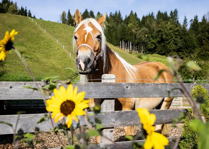 شقة Laubichlhof *