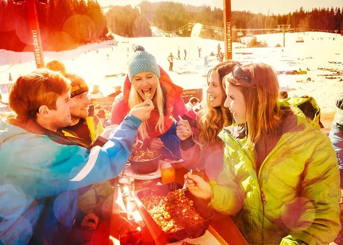 Laubichlhof Appartement Flachau